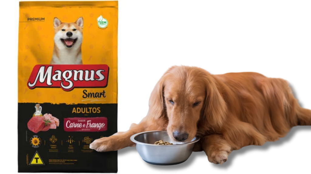 magnus smart